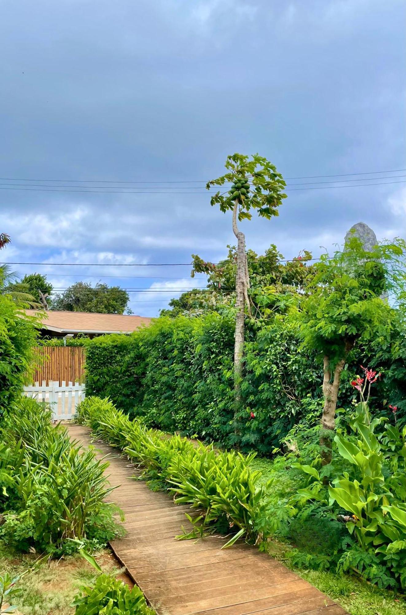 Casa Do Anjo Hotell Fernando de Noronha Exteriör bild